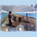 삼열농장 이미지