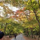 한솔가든 이미지