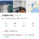 봄에 찾기 좋은 ⭕️영덕 고래불해수욕장⭕️ 꽃들과 함께한 노지캠핑 후기