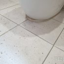 플로렌스 주상복합 이미지