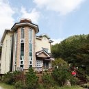엔토 Daum카페