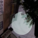 부산자동차유리복원 - 사하구 낙동대로 542 | 부산자동차유리복원
