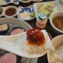 지담 | 원주 일본식 프리미엄 돈카츠 맛집 지담카츠 내돈내산 솔직후기