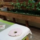 웅진피부명가 이미지