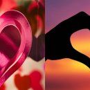 푸메하나 이미지