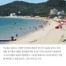 8월인데 겨울바다? 피서객은 '멘붕' 울산·부산 앞바다 무슨 일? 이미지