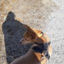 팅커벨하우스 이미지