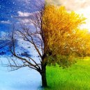 TEAM-K MMA GYM 이미지