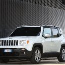 이글지프 이미지