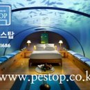 페스탑