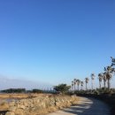 성산목장 이미지