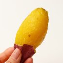 고구마짐 이미지