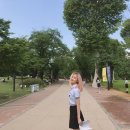 사진찍는날 Daum카페