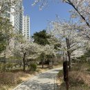 연세봄소아청소년과의원 이미지