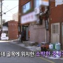 부광반점 이미지