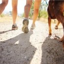 수천캔넬 | 강아지 주인을 졸졸 따라오는 이유?