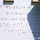 정도너츠앞 이미지