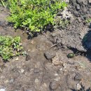 강릉아기동물농장 이미지