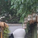 청두훠궈 이미지