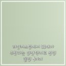 더벤티양산택지로점 | 라인커스텀에서 30대가 추천하는 양산택지로 썬팅 꿀팁 4가지