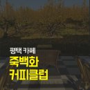 죽백화 | 평택 카페 추천 평택 죽백동 대형카페 죽백화 커피클럽 데이트 후기