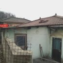 서구-01-11 이미지