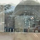 안녕 댕댕아 | [포천 애견미용] 앞으로 관리는 '안녕 댕댕아'로 확정 / 내돈내산 후기