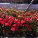 영종동주민센터 이미지