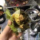 구미 맛집 :: 구미 복개천 뒷고기 맛집 "전성시대"