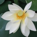 동산연합의원 이미지