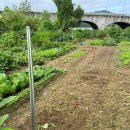 공세농장 이미지