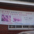 스파피아 이미지