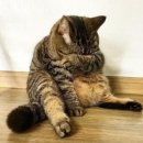 대박가든 이미지