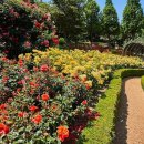 도당동 행정복지센터 이미지