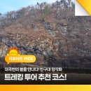 유림-38 | 대곡천의 봄을 만나다! 반구대 암각화 트레킹 투어 추천 코스!