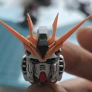 제갈농장 이미지