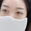 딜리스래쉬