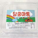 움직이는 관광안내소 | 인천로열투어, 관광버스 패키지여행, 전남 구례 당일치기 여행, 추억 만들기