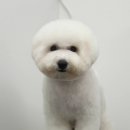 살롱드뚜뚜 이미지