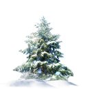 크리스마스 이미지