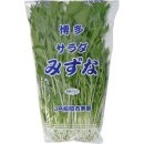 에테가미 이미지