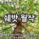 쉐밧 월삭 예배 (신4 의인들의 길, 아름다운 나무) 이미지
