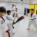 용인대 올림픽 태권도 이미지