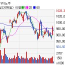 (주)마제스타 마제스타카지노 이미지