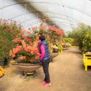 증평민속체험박물관 이미지