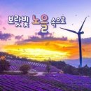 아스타코리아