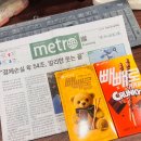 신문과 빼빼로 이미지