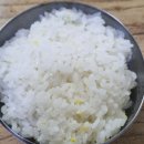 안동식당 | 안동 맛집 옥야식당 솔직 후기｜전현무계획 선지국밥