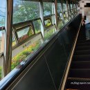 4451 | 경남 고성 가볼만한곳 아이와 가기 좋은 고성공룡박물관 솔직후기 아쉬운점