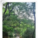 마하사 응진전 십육나한도 | 5세기 고구려 아도화상(阿道和尙)이 창건한 금련산(金蓮山) 마하사(摩訶寺)